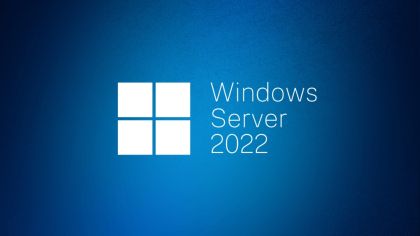 Програмен продукт с лицензен стикер Windows Server CAL 2022 English 1pk DSP OEI 1 Clt User CAL