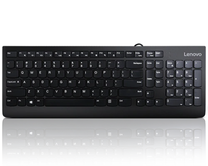 LENOVO 300 USB