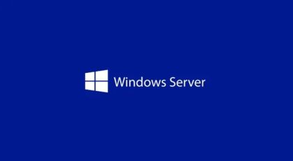 Програмен продукт с лицензен стикер Windows Svr Std 2025 64Bit English 1pk DSP OEI DVD 24 Core