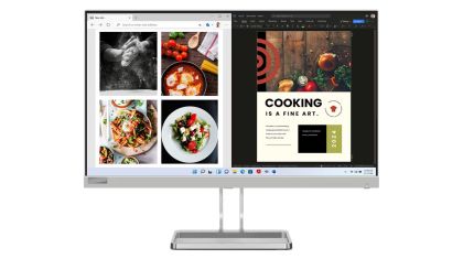 23.8 LENOVO L24I-40 /SKRATCHED