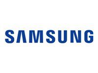 SAMSUNG Magicinfo Lite Server - 1 client - Up to 25 clients per server is free to use price is per client above 25 clients