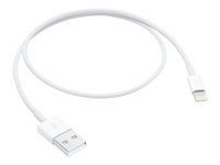 APPLE VMI Lightning to USB Cable 0.5m, iPod touch 5. Gen iPod nano 7. Generation