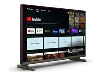 PHILIPS 24 inch Profesional TV