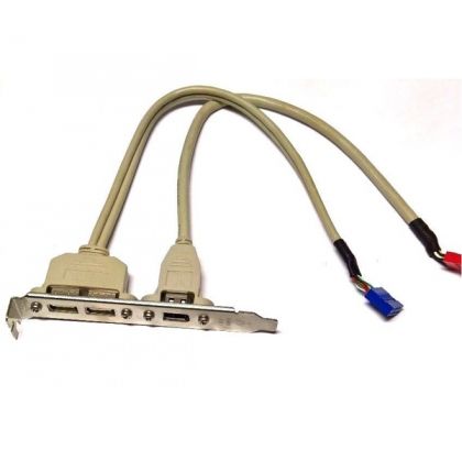 USB2.0x2 and IEEE1394a Bracket, ASUS 14G000506410