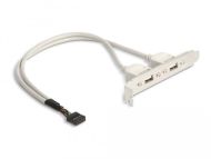 Скоба Delock, За монтаж в PC, USB 10 pin към 2 x USB 2.0 type A