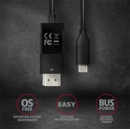 Cable USB Type C - DP, M/M, 1.8m, 4K/60Hz, RVC-DPC