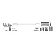 Cable USB3.2 C-A, M/F, OTG, 15cm, Logilink CU0098