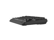 Клавиатура Genesis Gaming Keyboard Thor 230 TKL Wireless US Black RGB Mechanical Outemu Panda