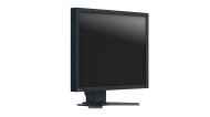 Медицински монитор EIZO RadiForce S2134-BK Цветен, Черен