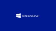Програмен продукт с лицензен стикер Windows Svr Std 2025 English 1pk DSP OEI 4Cr NoMedia/NoKey (APOS) AddLic