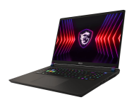MSI VECTOR 17 HX A13VHG-693BG