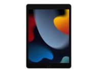 APPLE 10.2in iPad 9 Wi-Fi 256GB Silver