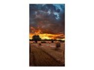 SAMSUNG 46" 16:9 FullHD VM46B-U direct-LED IPS 500nits DP 1.2, HDMI in x2/out, DVI-D, Ethernet, 3.5mm bezel to bezel VESA 600x400