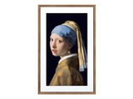 NETGEAR MEURAL 69cm 27inch canvas dark wood frame