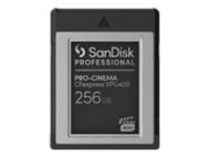 SANDISK Professional PRO-CINEMA 256GB CFexpress VPG400 Type B Card upto 1700MB/s Read 1400MB/s Write