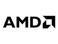 AMD Ryzen 3 PRO 5355G AM4 65W 4C/8T 4.2GHz TRAY