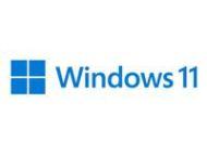 MS Win 11 Pro 64Bit English 1pk DSP OEI DVD