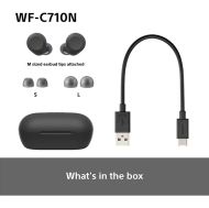 Earphones Sony WF-C710N Wireless Bluetooth, Black