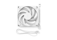 FD MOMENTUM 12 WHITE