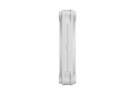 FD MOMENTUM 12 WHITE