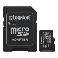 256G SDMIC KINGS CANVAS SEL+A1