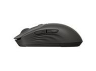 HP 405 Quiet Black Wireless B Mouse EMEA INTL Euro plug (EN)